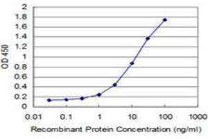 Detection limit for recombinant GST tagged HD is approximately 0. (Huntingtin anticorps  (AA 81-190))