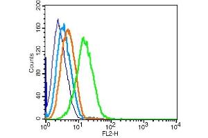 Raji probed with CCR7/CD197 Polyclonal Antibody, Unconjugated  at 1:100 for 30 minutes followed by incubation with a conjugated secondary (PE Conjugated) (green) for 30 minutes compared to control cells (blue), secondary only (light blue) and isotype control (orange).