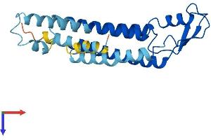 AlphaFold protein structure predicition of Mouse Recombinant Gjb2 Protein, UniprotID Q00977