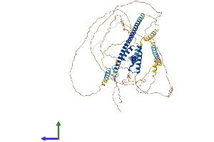AlphaFold protein structure predicition of Human Recombinant SOX5 Protein, UniprotID P35711