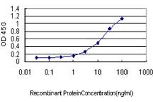 ELISA image for anti-PC4 and SFRS1 Interacting Protein 1 (PSIP1) (AA 1-51) antibody (ABIN599171) (PSIP1 anticorps  (AA 1-51))