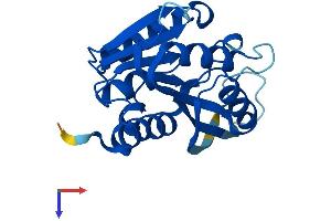 AlphaFold protein structure predicition of Mouse Recombinant Mettl5 Protein, UniprotID Q8K1A0