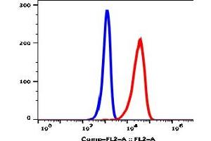 Image no. 2 for anti-Membrane Metallo-Endopeptidase (MME) antibody (Biotin) (ABIN5067810)