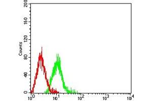 Flow cytometric analysis of HL-60 cells using CD46 mouse mAb (green) and negative control (red).