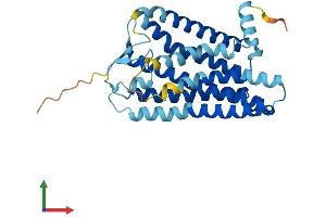AlphaFold protein structure predicition of Human Recombinant OR3A1 Protein, UniprotID P47881
