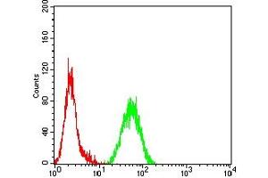 Flow cytometric analysis of Hela cells using PINK1 mouse mAb (green) and negative control (red).