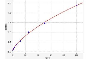 Dopamine beta-Hydroxylase (Dopamine beta-Monooxygenase) (DBH) ELISA Kit