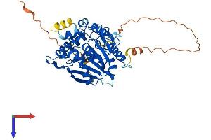AlphaFold protein structure predicition of Mouse Recombinant Ndrg3 Protein, UniprotID Q9QYF9