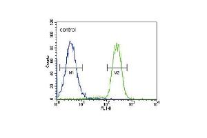 HSD17B2 Antibody (Center) (ABIN651318 and ABIN2840185) flow cytometric analysis of MDA-M cells (right histogram) compared to a negative control cell (left histogram).
