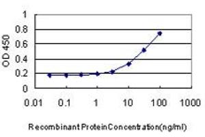anti-Cell Division Cycle Associated 3 (CDCA3) (AA 1-268) antibody