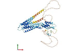 AlphaFold protein structure predicition of Human Recombinant SLC30A10 Protein, UniprotID Q6XR72