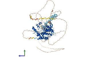 AlphaFold protein structure predicition of Human Recombinant PDE4D Protein, UniprotID Q08499