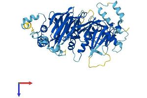 AlphaFold protein structure predicition of Mouse Recombinant Det1 Protein, UniprotID Q9D0A0