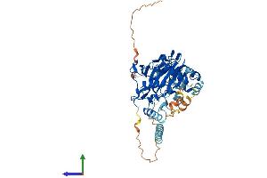 AlphaFold protein structure predicition of Human Recombinant P4HTM Protein, UniprotID Q9NXG6