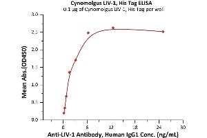 Immobilized Cynomolgus LIV-1, His Tag (ABIN6992405) at 1 μg/mL (100 μL/well) can bind Anti-LIV-1 Antibody, Human IgG1 with a linear range of 0.