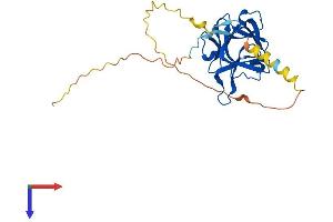 AlphaFold protein structure predicition of Mouse Recombinant Fgf12 Protein, UniprotID P61329