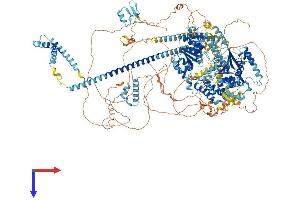 AlphaFold protein structure predicition of Mouse Recombinant Smarca2 Protein, UniprotID Q6DIC0