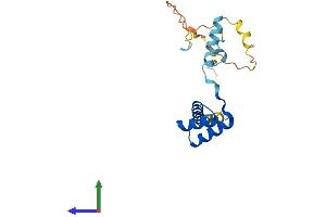 AlphaFold protein structure predicition of Human Recombinant HESX1 Protein, UniprotID Q9UBX0