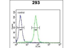 c-fos Antibody (C-term) (ABIN390510 and ABIN2840864) flow cytometric analysis of 293 cells (right histogram) compared to a negative control cell (left histogram).