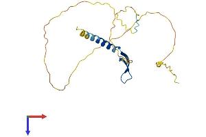 AlphaFold protein structure predicition of Human Recombinant BCL7A Protein, UniprotID Q4VC05