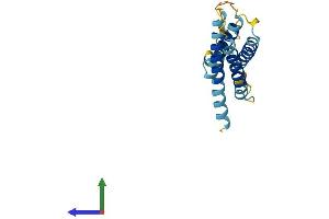 AlphaFold protein structure predicition of Mouse Recombinant Cmtm8 Protein, UniprotID Q9CZR4