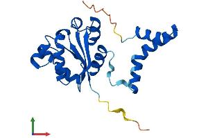 AlphaFold protein structure predicition of Mouse Recombinant Nme5 Protein, UniprotID Q99MH5