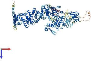 AlphaFold protein structure predicition of Mouse Recombinant Ube3b Protein, UniprotID Q9ES34