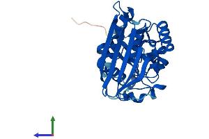 AlphaFold protein structure predicition of Mouse Recombinant Aspdh Protein, UniprotID Q9DCQ2
