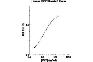 ELISA image for C-Reactive Protein (CRP) ELISA Kit (ABIN612674) (CRP Kit ELISA)