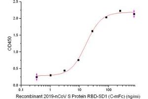 ELISA image for Angiotensin I Converting Enzyme 2 (ACE2) (Active) protein (His tag) (ABIN7321043)