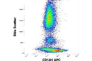 Flow cytometry surface staining pattern of human peripheral whole blood stained using anti-human CD184 (12G5) APC antibody (10 μL reagent / 100 μL of peripheral whole blood). (CXCR4 anticorps  (APC))