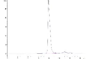 The purity of Rhesus macaque CD5 is greater than 95 % as determined by SEC-HPLC.