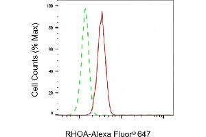 Flow cytometric analysis of RHOA expression in C2C12 cells using RHOA antibody (ABIN7800142), 1:2,000). (Recombinant RHOA anticorps)