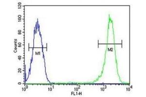 Caspase-3 antibody flow cytometric analysis of CEM cells (right histogram) compared to a negative control cell (left histogram).