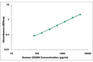 Representative Standard Curve