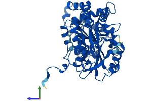 AlphaFold protein structure predicition of Human Recombinant KYAT1 Protein, UniprotID Q16773