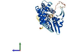 AlphaFold protein structure predicition of Human Recombinant PTGES2 Protein, UniprotID Q9H7Z7