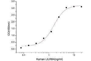 Activity Assay (AcA) image for Angiopoietin-Like 7 (ANGPTL7) (AA 27-346) (Active) protein (His tag) (ABIN7607191)
