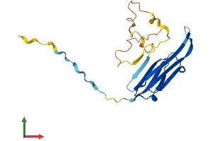 AlphaFold protein structure predicition of Mouse Recombinant Cryab Protein, UniprotID P23927