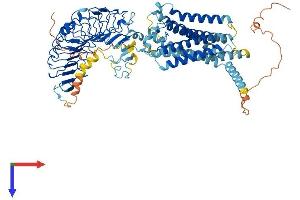 AlphaFold protein structure predicition of Mouse Recombinant Rxfp1 Protein, UniprotID Q6R6I7