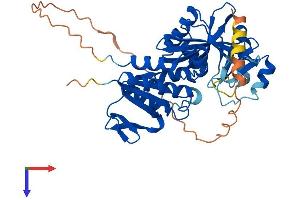 AlphaFold protein structure predicition of Mouse Recombinant Rimklb Protein, UniprotID Q80WS1