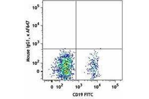 Flow Cytometry (FACS) image for anti-Chemokine (C-X-C Motif) Receptor 5 (CXCR5) antibody (Alexa Fluor 647) (ABIN2657144) (CXCR5 anticorps  (Alexa Fluor 647))