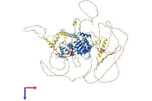 AlphaFold protein structure predicition of Human Recombinant ARHGAP6 Protein, UniprotID O43182