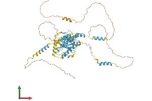 AlphaFold protein structure predicition of Human Recombinant DYNC1LI1 Protein, UniprotID Q9Y6G9