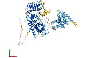 AlphaFold protein structure predicition of Mouse Recombinant Eif2b5 Protein, UniprotID Q8CHW4