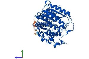 AlphaFold protein structure predicition of Mouse Recombinant Hdac8 Protein, UniprotID Q8VH37