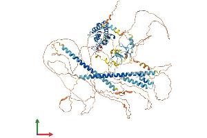 AlphaFold protein structure predicition of Mouse Recombinant Limch1 Protein, UniprotID Q3UH68