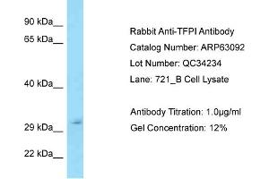 Western Blotting (WB) image for anti-Tissue Factor Pathway Inhibitor (Lipoprotein-Associated Coagulation Inhibitor) (TFPI) (Middle Region) antibody (ABIN971865) (TFPI anticorps  (Middle Region))