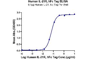 Immobilized Human IL-21, No Tag at 1 μg/mL (100 μL/well) on the plate.