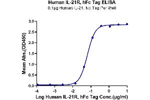 Immobilized Human IL-21, No Tag at 1 μg/mL (100 μL/well) on the plate. (IL21 Receptor Protein (AA 20-236) (Fc Tag))